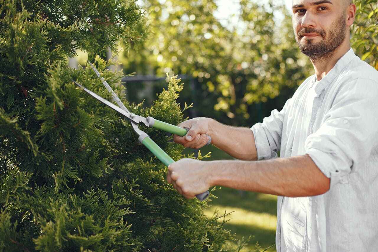 Best Residential Tree Removal  in Richmond West, FL